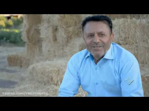 نسیم آبادی ارزنه باخرز 