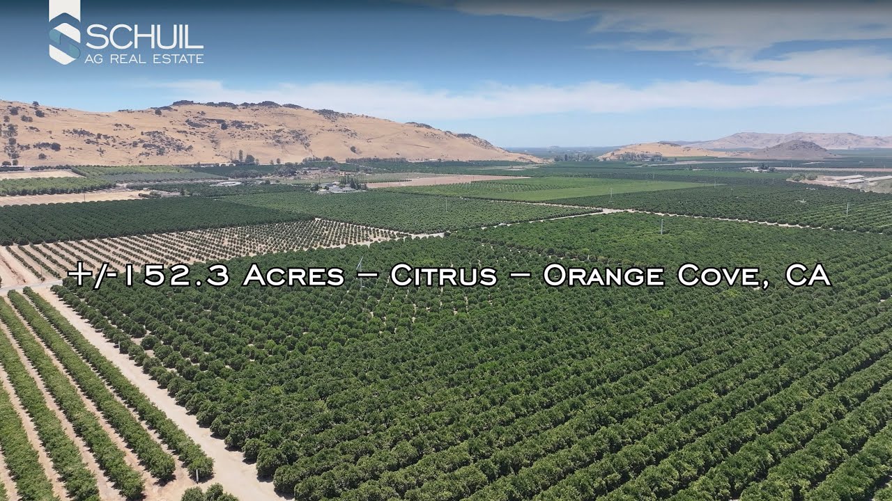 ±152.3 Acres – Citrus – Orange Cove, CA