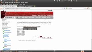 Injection Flaws Modify data with SQL Injection