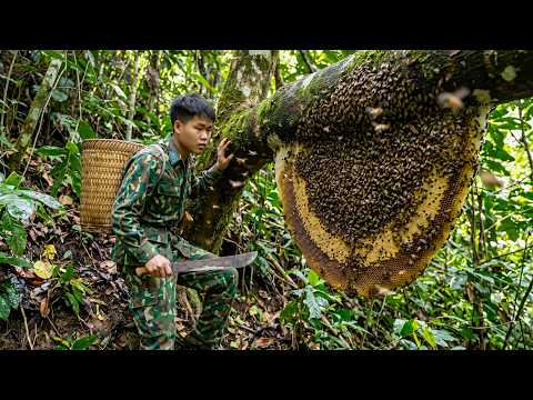 Confronting Dangerous Wild Bees with Smoke | Bamboo Fish Traps, Wild Goat Tracks and Forest Survival