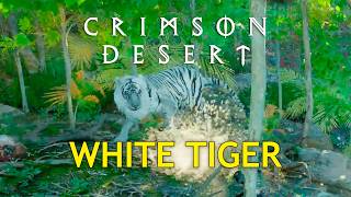 Legendary White Tiger Location | Crimson Desert
