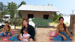 ที่บ้านน้องปลาเงียบมาก..29 เมษายน ค.ศ. 2024