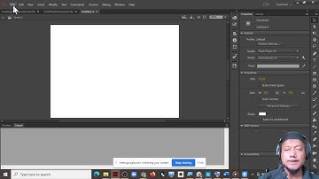 animaye cc actionscript 3.0 controling sound in library