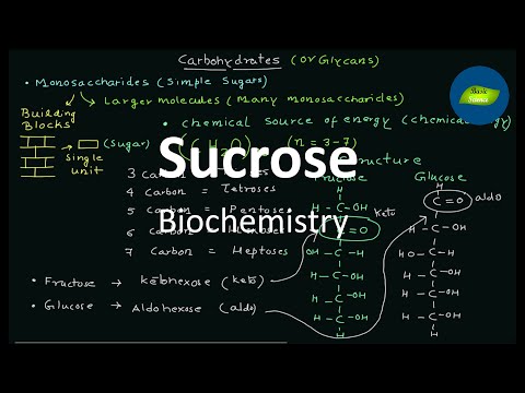 וִידֵאוֹ: מהן התכונות הכימיות של סוכרוז?