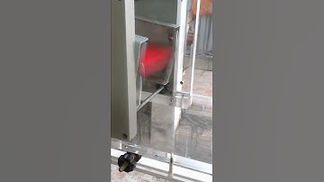 WING FLUTTER  IN WIND TUNNEL www.plastrochem.com