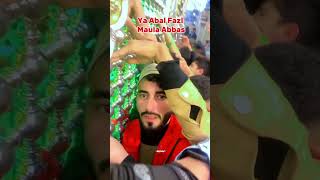 Ya Abal Fazl 😭🤲❤️‍🩹…. #karbala #youtubeshorts