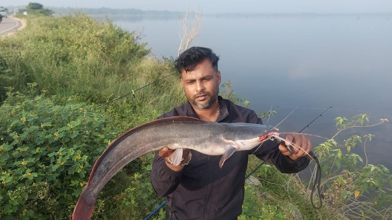 Africa catfish/how to use popup rig setup/float fishing 🎣/village ...