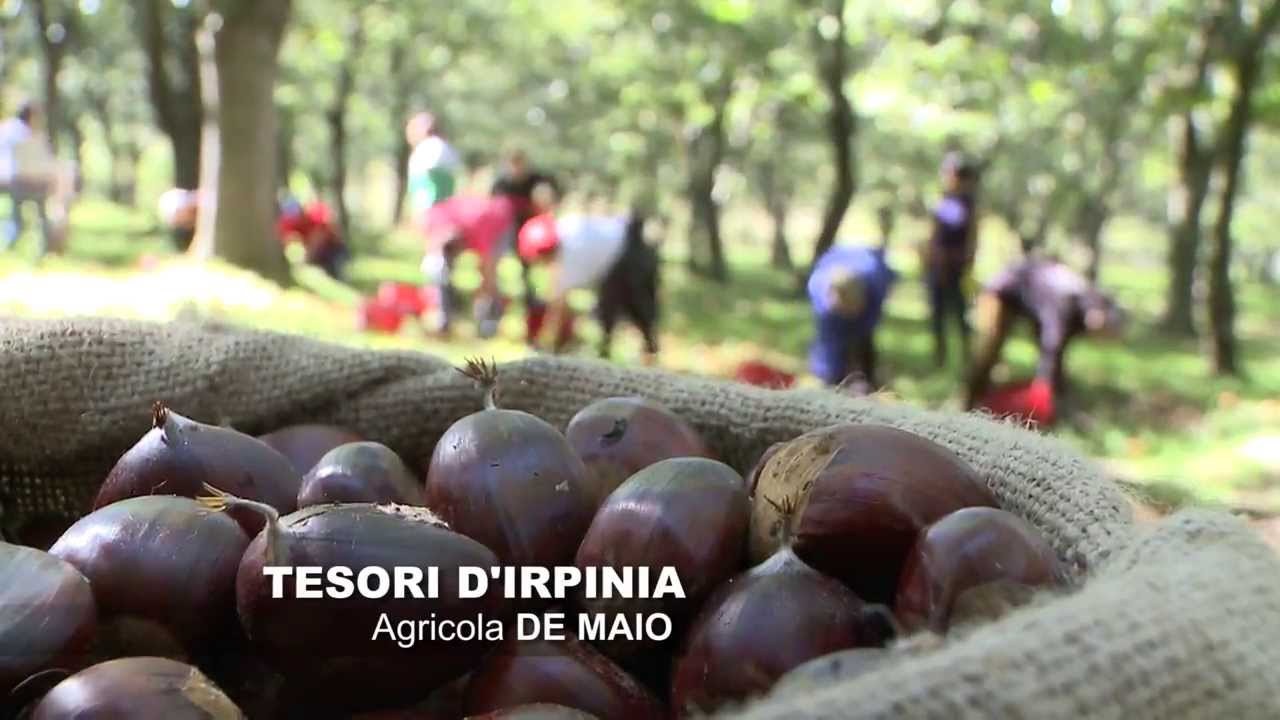 TD'I / AZIENDA AGRICOLA DE MAIO (1°Parte)