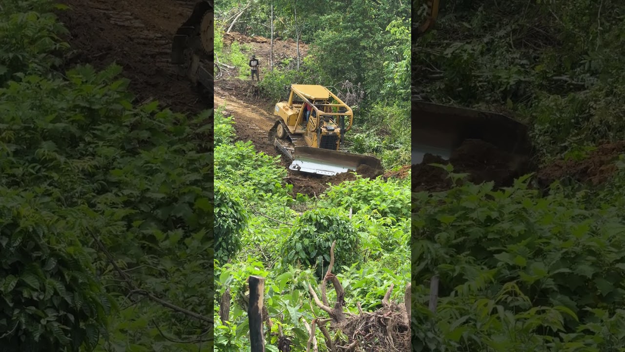 Master Palm Terrace Creation on Sloped Terrain with D6R XL Bulldozer Techniques