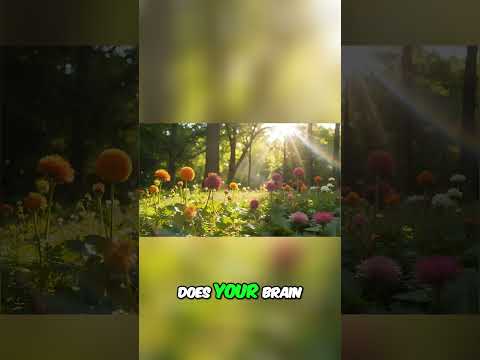 This Simple Idea Will Blow Your Mind