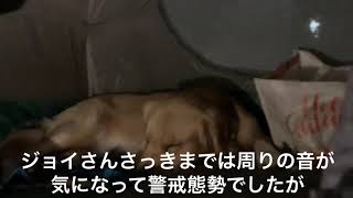 【ノーカット②】只今キャンプに来ております iPhoneから