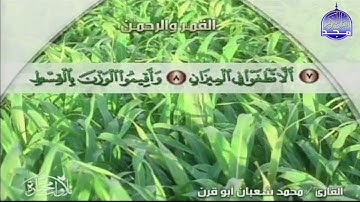 جديد المجد ||  سورتي " القمر والرحمن " || القارئ : محمد شعبان ابو قرن || من مختارات المجد HD