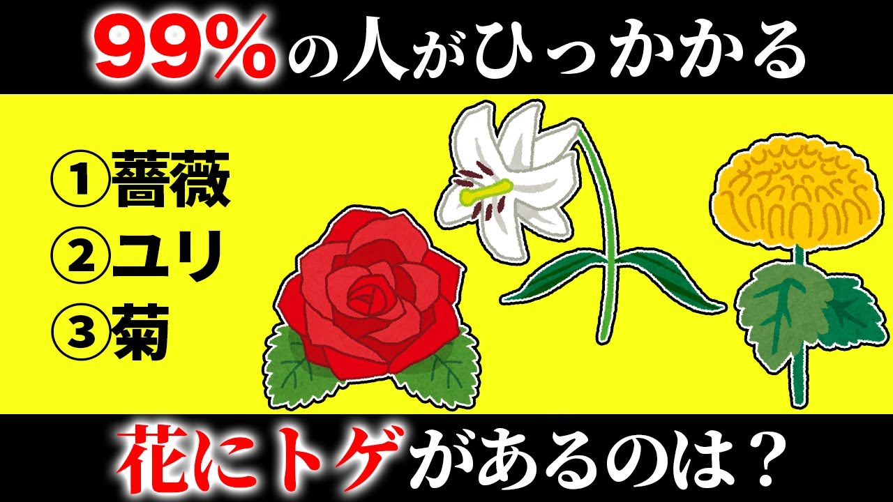 【騙されすぎ注意！】眠れなくなるほど面白いひっかけクイズ【総集編第1弾】