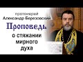 Проповедь о стяжании мирного духа (2022.01.14). Протоиерей Александр Березовский