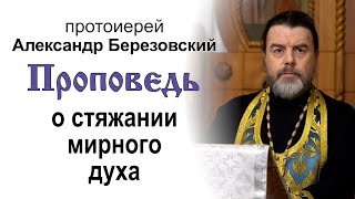 Проповедь о стяжании мирного духа (2022.01.14). Протоиерей Александр Березовский