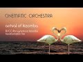 CINEMATIC ORCHESTRA - Arrival Of Kizomba (DJ C.C.Ron Symphonic Kizomba Transformation Mix)