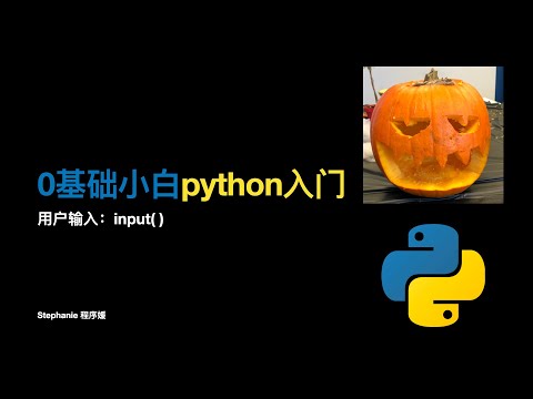 【0基础小白python入门】用户输入input() | Python tutorial: input()