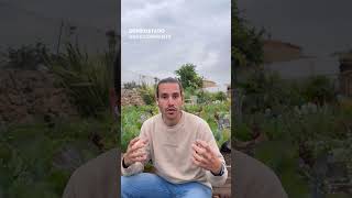 Filling The Beds Economically