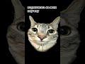 Meow meow 🐈‍⬛😁😂 #funny #millionviews #youtubeshorts