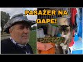 Nowy kompan podróży? Poszukiwania na plażach.