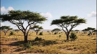 🎸 Slow Rock Golden Era 2025 – Legendary Love Songs and Emotional Rock Ballads Compilation 💔