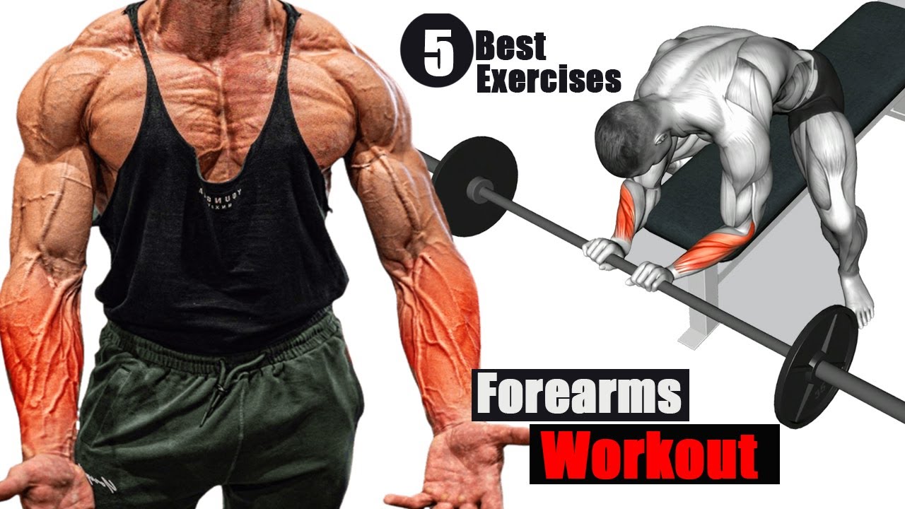 5 Best Exercises for Bigger Forearms - YouTube