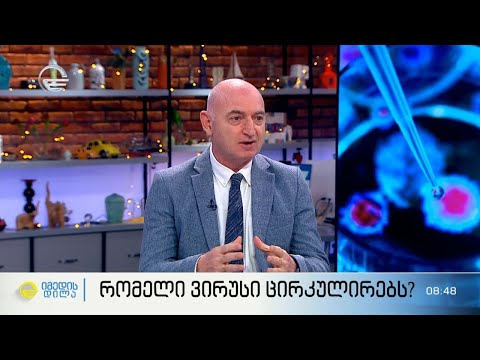 რომელი ვირუსი ცირკულირებს? - ივანე ჩხაიძის პასუხები აქტუალურ კითხვებზე