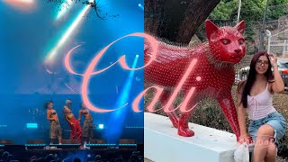 Encontré Mi Gata Favorita De Cali Vlog By Ana Mar Resimi