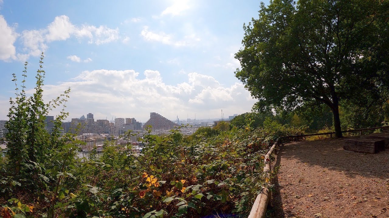 Walking in Historic Danish Forest | 5K