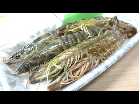 I tried growing shrimp I found at the supermarket - YouTube