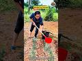 DIY Watering Scoop: Simple Hole-Punch Gardening Hack 💧🪣