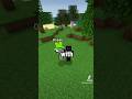 Minecraft server