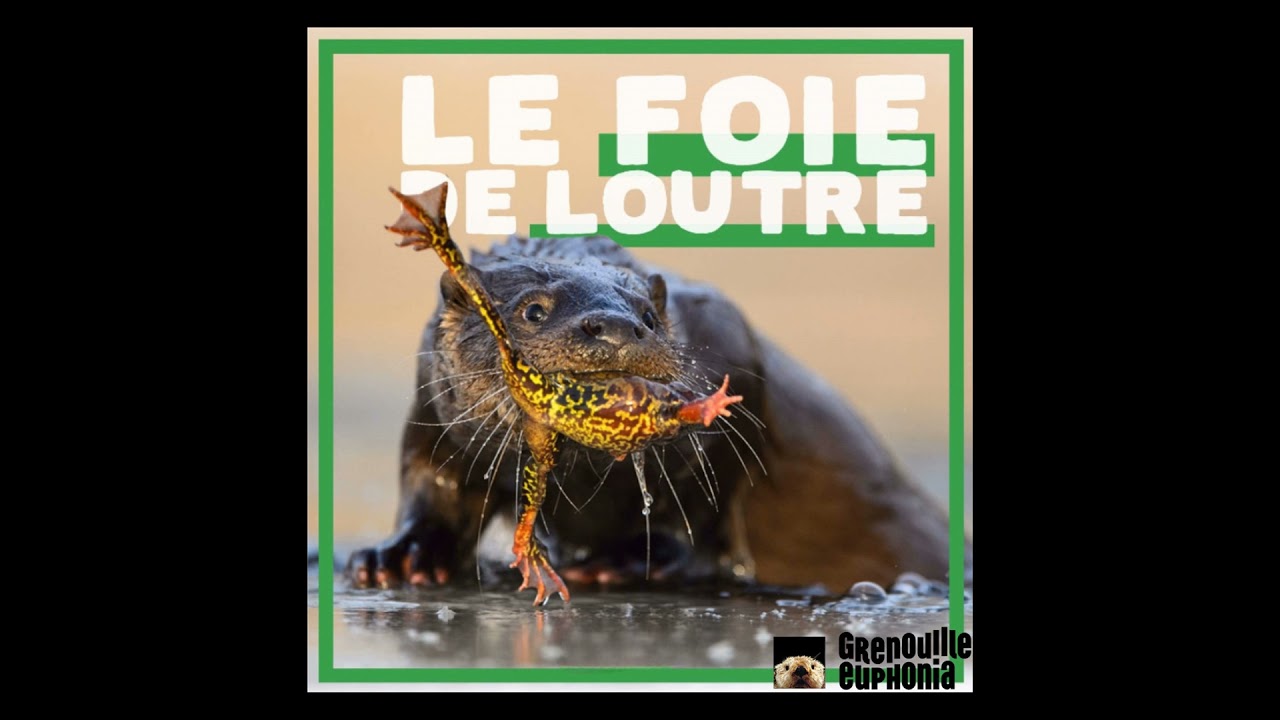 Guarda S05E07 - Spécial Rock Indé des années 2000s - Le Foie de Loutre su YouTube Guarda S05E07 - Spécial Rock Indé des années 2000s - Le Foie de Loutre su YouTube