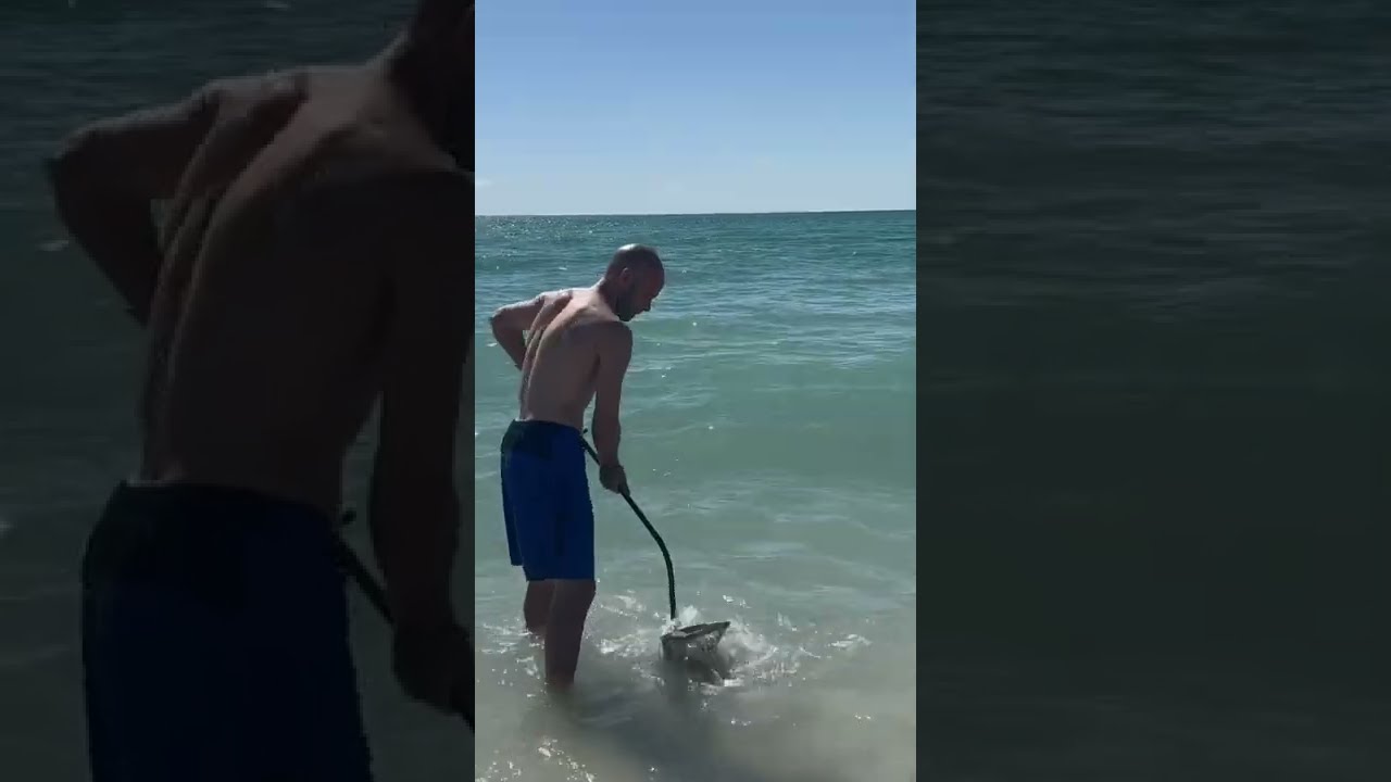 Как найти окаменелые зубы акулы | Энглвуд, Флорида