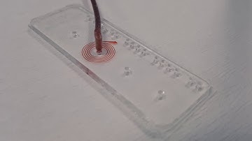 FLOW TEST - SpS-Z50 Spiral Particle Sorting Chip