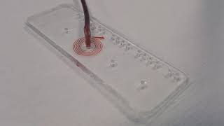 FLOW TEST - SpS-Z50 Spiral Particle Sorting Chip