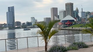 Baltimore Aquarium Vibes | I Love These Views!