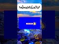 Jald rishta hone ka wazifa | acha rishta milne ka wazifa | naik rishty k liye rishta |Alnoor academy