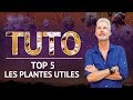 Tuto  les plantes utiles  comment les choisir 