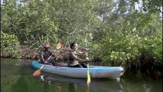 Gambia Kayaking: Breath-taking day on a Tanji Creek | My Gambia | My Magazine