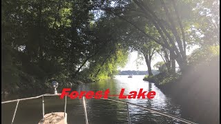 Minnetonka s Own Forest Lake