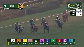 Vidéo de la course PMU DIAMANTE DE ORO