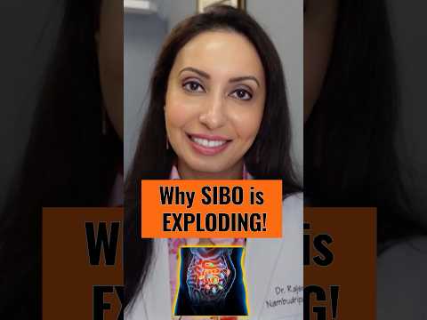 ⚠️ Gut Disruptors & Root Causes of SIBO!  #shorts #gutheath