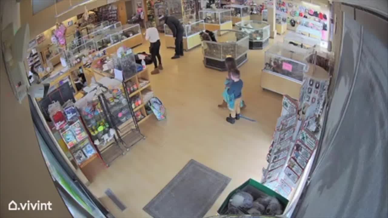 2 puppies stolen from Perfect Pets