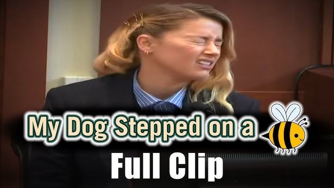 My dog stepped on a bee. #mydogsteppedonabee #rhymes #amberheard #fy