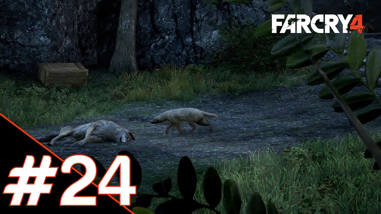 Farcry 4 Part #24 - Super Honey Badger Kills Rhinos - YouTube