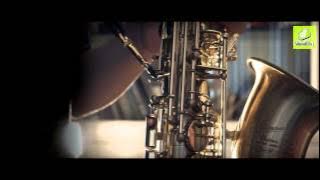 Kiss The Rain (Audiophile Acoustic Cover: Piano & Saxophone)