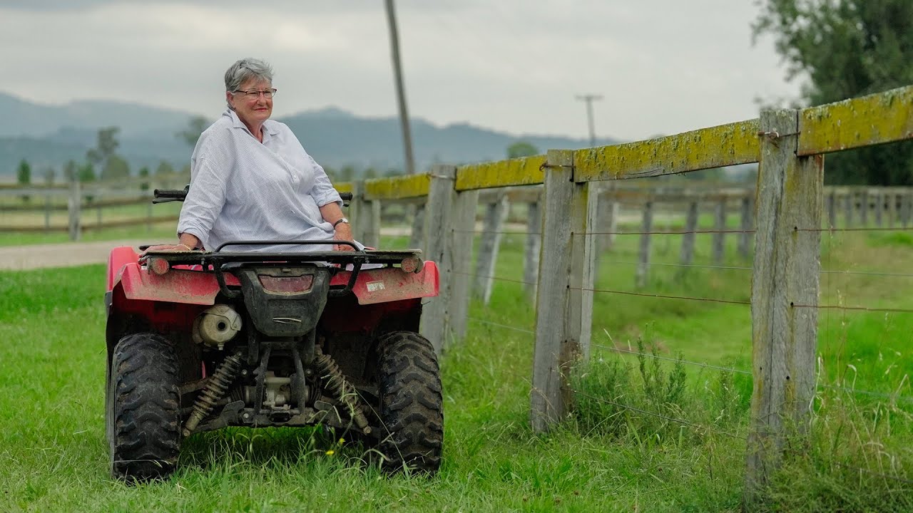 Goodwood Farm vendor preview 2023 Inglis Classic Sale YouTube