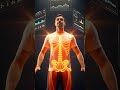 The Secret Power of Your Feet | Human Body Wonders