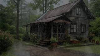 Gentle rainfall ambience reducing overthinking and improving emotional stillness at night